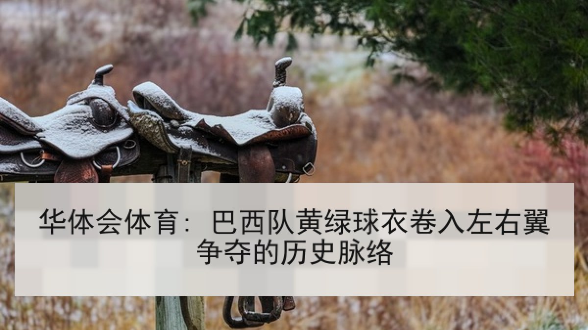 华体会体育: 巴西队黄绿球衣卷入左右翼争夺的历史脉络