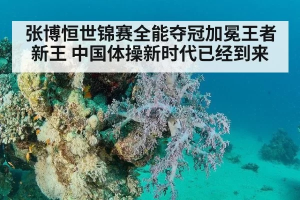张博恒世锦赛全能夺冠加冕王者新王 中国体操新时代已经到来